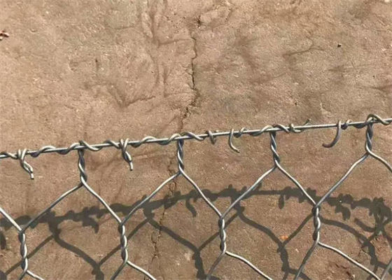 Boîte en gabion hexagonale réutilisable pour la protection des plantes