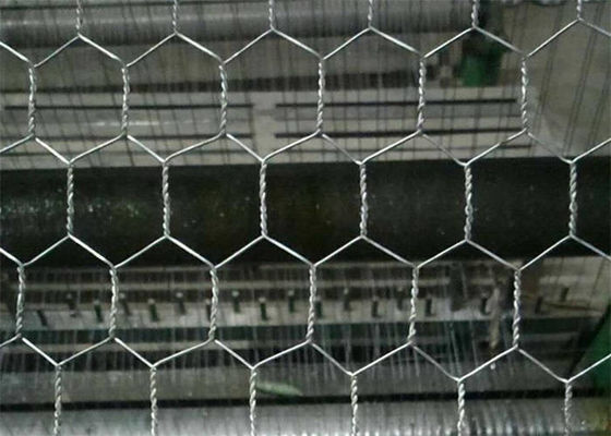 Électro galvanisé après tissage de filet en treillis métallique hexagonal